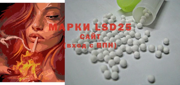 шишки Вязники