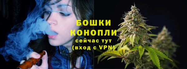 шишки Вязники