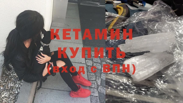 шишки Вязники