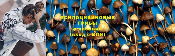 шишки Вязники