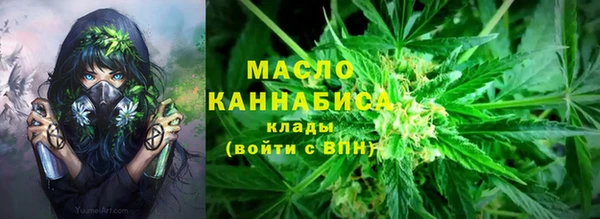 шишки Вязники